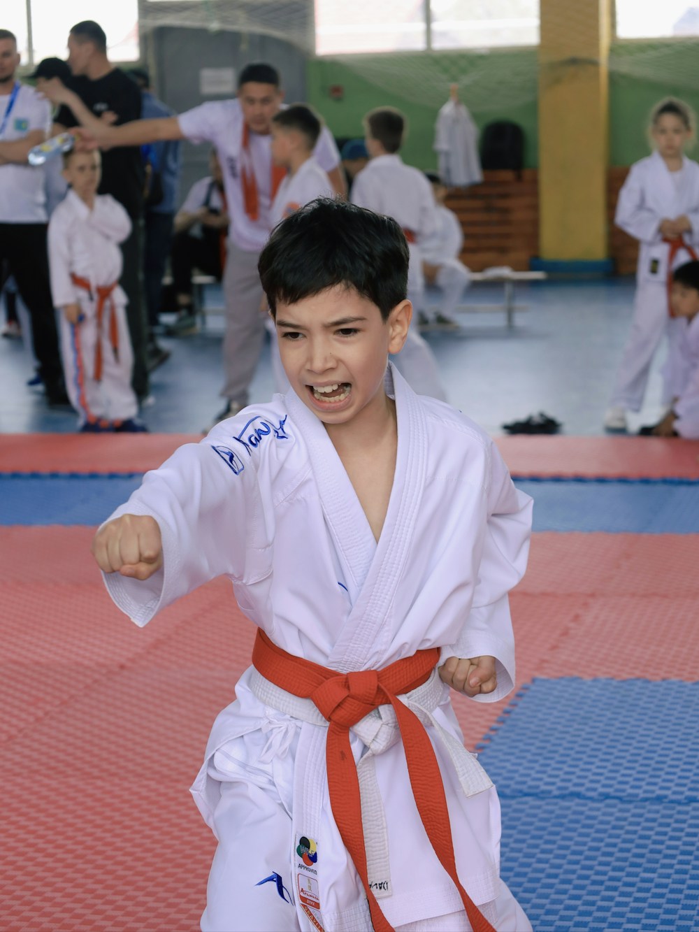 Youth Martial Arts photo